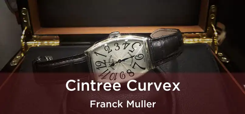  Cintree Curvex Franck Muller