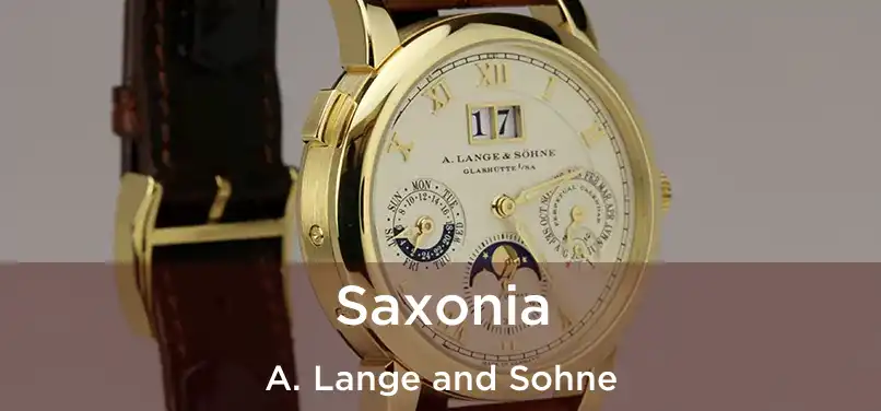  Saxonia A. Lange and Sohne